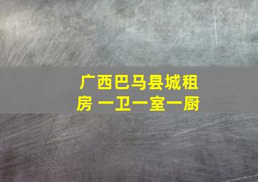 广西巴马县城租房 一卫一室一厨